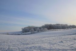Zima na Wysoczyźnie Elbląskiej 


