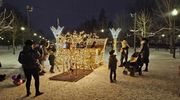 Rozbłysły iluminacje w parku miejskim