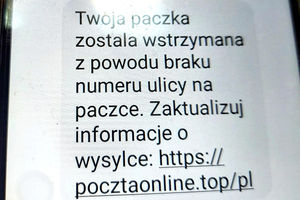 Oszuści i złodzieje nie próżnują!