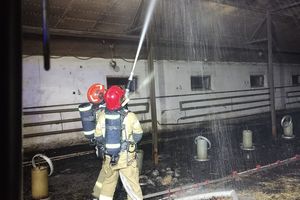 Pożar kurnika z pisklętami w Lubawie. Zginęło kilka tysięcy ptaków
