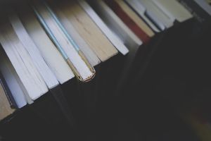 Kontrowersyjne wykorzystanie książek kanadyjskich autorów w treningach AI