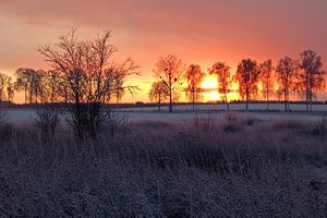 Prenumerata za zdjęcie: zimowy poranek w Kromarkach