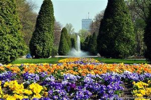 Piękny park w Białymstoku zostanie zrewitalizowany