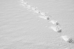Ślady na śniegu zdradziły poszukiwanego przez policję alimenciarza