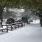 Synoptycy IMGW znów zapowiedzieli śnieg. Tym razem na północy i wschodzie kraju 