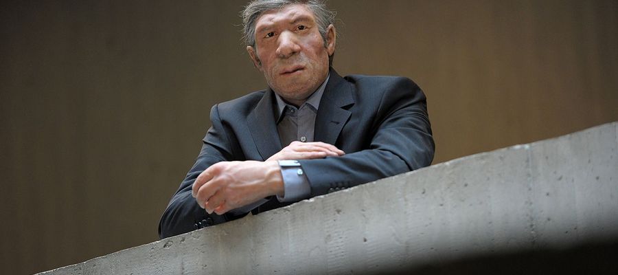 Neandertalczyk ale współczesny strój. Muzeum Neandertalczyka w Mettmann, Niemcy 