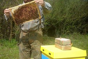 Praca z pszczołami to życiowa pasja Roberta z Nowej Wsi Reszelskiej