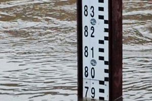Wysoki poziom wody w rzece Pasłęce. W Braniewie został przekroczony stan alarmowy