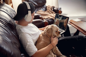 Psy lubią oglądać w telewizji… psy
