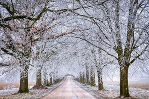 GDDKiA ostrzega przed śliskimi drogami, opadami śniegu i mgłą