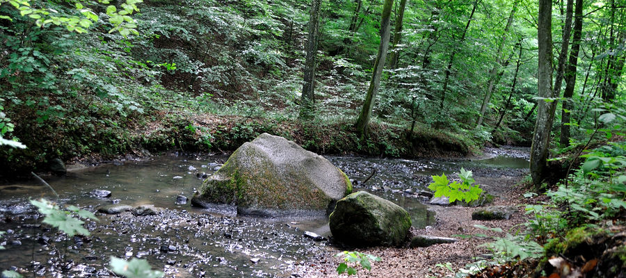 Najsłynniejsza legenda Bażantarni związana jest z pomnikiem przyrody: Diabelskim Kamieniem, spoczywającym w Srebrnym Potoku, co najmniej od czasów budowy kościoła św. Mikołaja w Elblągu