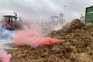 Trwa blokada obwodnicy Elbląga. Rolnicy rozrzucili obornik na S7 [VIDEO]
