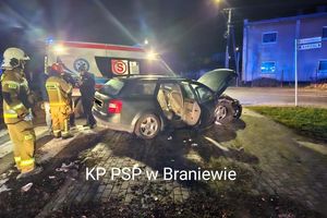 Frombork: Kierowca audi uderzył w drzewo. Jedna osoba trafiła do szpitala [ZDJĘCIA]
