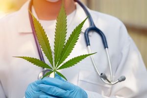 Jaki lekarz może przepisać receptę na medyczną marihuanę? Specjalizacje i kwalifikacje