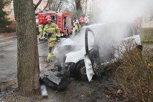 Wypadek na ul. Rataja w Olsztynie. Kierowca osobówki uderzył w drzewo potrącając przy tym 64-letniego pieszego [ZDJĘCIA]