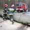 Zagrożenie dla samochodów. W regionie mnóstwo przewróconych drzew 
