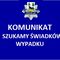 Policjanci poszukują świadków wypadku
