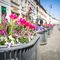 Ponad 5 milionów kwiatów zakwitnie wiosną w Warszawie