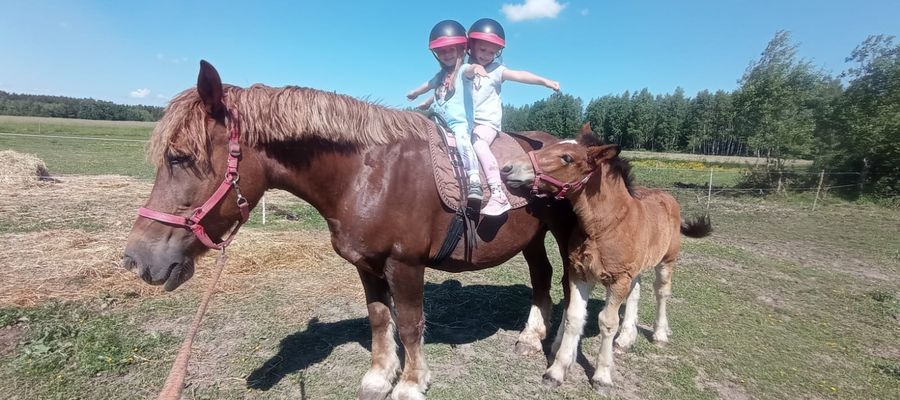 Weronika i Marcelina też kochają konie