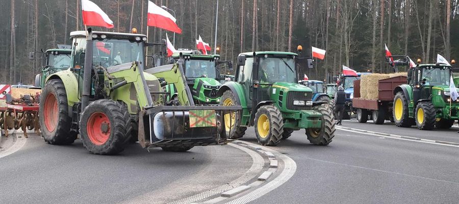 Zdjęcie jest ilustracją do tekstu  