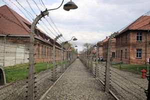 Pod podłogą bloku Auschwitz znaleziono figury szachowe należące do więźniów
