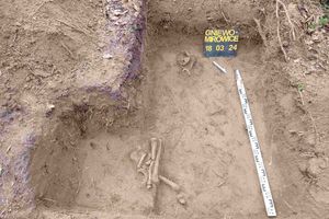 Archeolodzy odnaleźli groby na terenie jednej z prywatnych posesji w Legnicy. Są datowane na okres II wojny światowej.