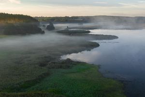 W regionie ustanowiono nowy rezerwat przyrody - "Jezioro Mścin”
