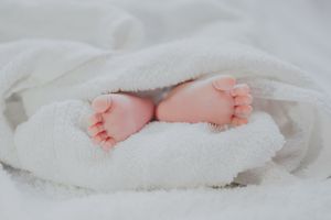 WUM: trzy niemowlęta otrzymały nowe serca w 1,5 miesiąca 