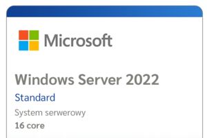 Czym są systemy Windows Server?