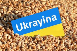 Europosłowie z KO głosowali przeciwko cłom na ukraińskie produkty rolne!