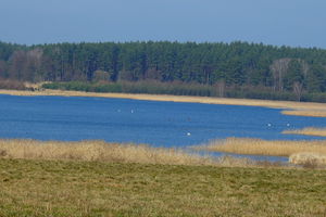 Nowy rezerwat przyrody "Jezioro Mścin”