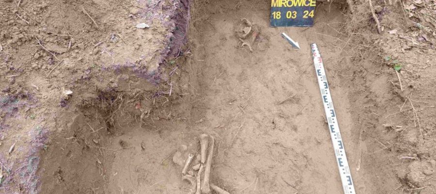 Szczątki zostały znalezione na terenie jednej z legnickich posesji