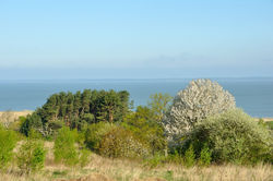 Wiosna nad Zalewem