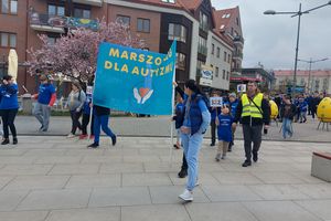 Niebieski marsz i bieg dla autyzmu - 9. edycja 