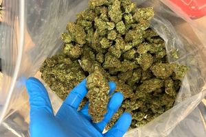 Policjanci ujawnili 1,2 tys. porcji kokainy i marihuany