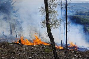 Akcja gaśnicza w Górach Sowich. Płonie połać lasu na zachodniej ścianie parku