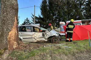 Tragiczny wypadek w dolnośląskich Ciechanowicach. Jest ofiara śmiertelna