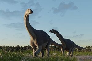 Nowy dinozaur z Patagonii
