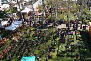 Stare Pole: XIII Wiosenne Targi Ogrodnicze już w ten weekend