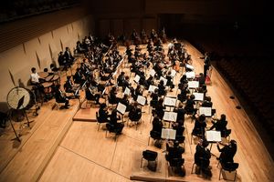 Wichry, galopy, węszące psy - w Filharmonii Narodowej