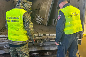 Funkcjonariusze straży granicznej w Grzechotkach przechwycili ponad 300 tysięcy sztuk papierosów ukrytych pod ziemią ogrodową
