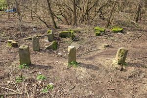 Cmentarza Olendrów na Białołęce zostanie wpisany do rejestru zabytków?