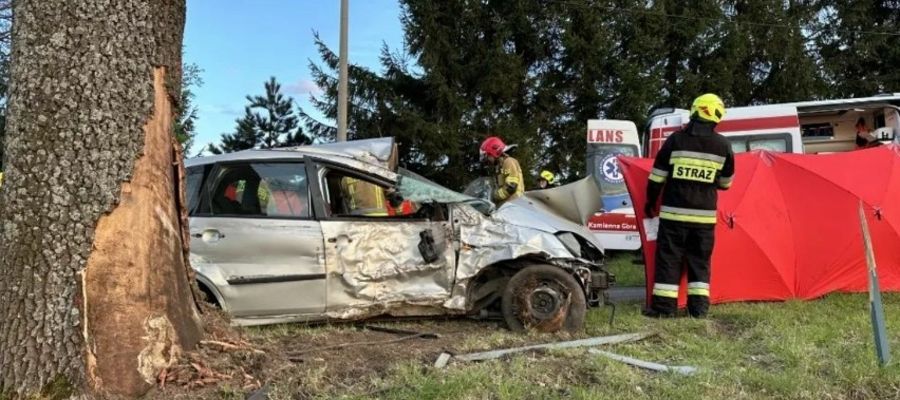 Wypadek miał miejsce niedaleko Ciechanowic na Dolnym Śląsku