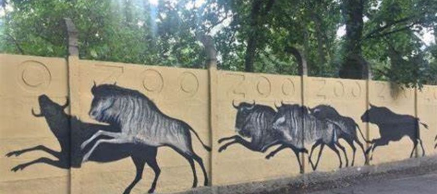 Znany wszystkim wrocławianom mural na ogrodzeniu Zoo wymaga renewacji.