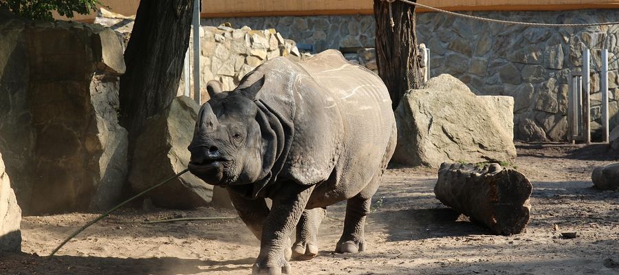 ZOO Wrocław