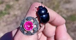 Żuk leśny Anoplotrupes stercorosus 