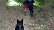 Ukrył się przed wzrokiem policjantów, ale nie przed nosem psa służbowego 