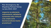 Interwencje leśno-zadrzewieniowe - rusza nabór wniosków w ARiMR
