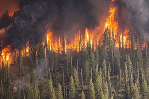Uwaga na zagrożenie pożarowe w lasach