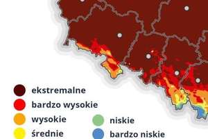 Dramatycznie suche lasy na Dolnym Śląsku. Niemal wszędzie najwyższy stopień
